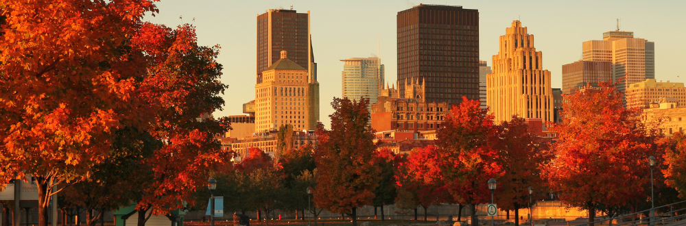 Discover Montreal