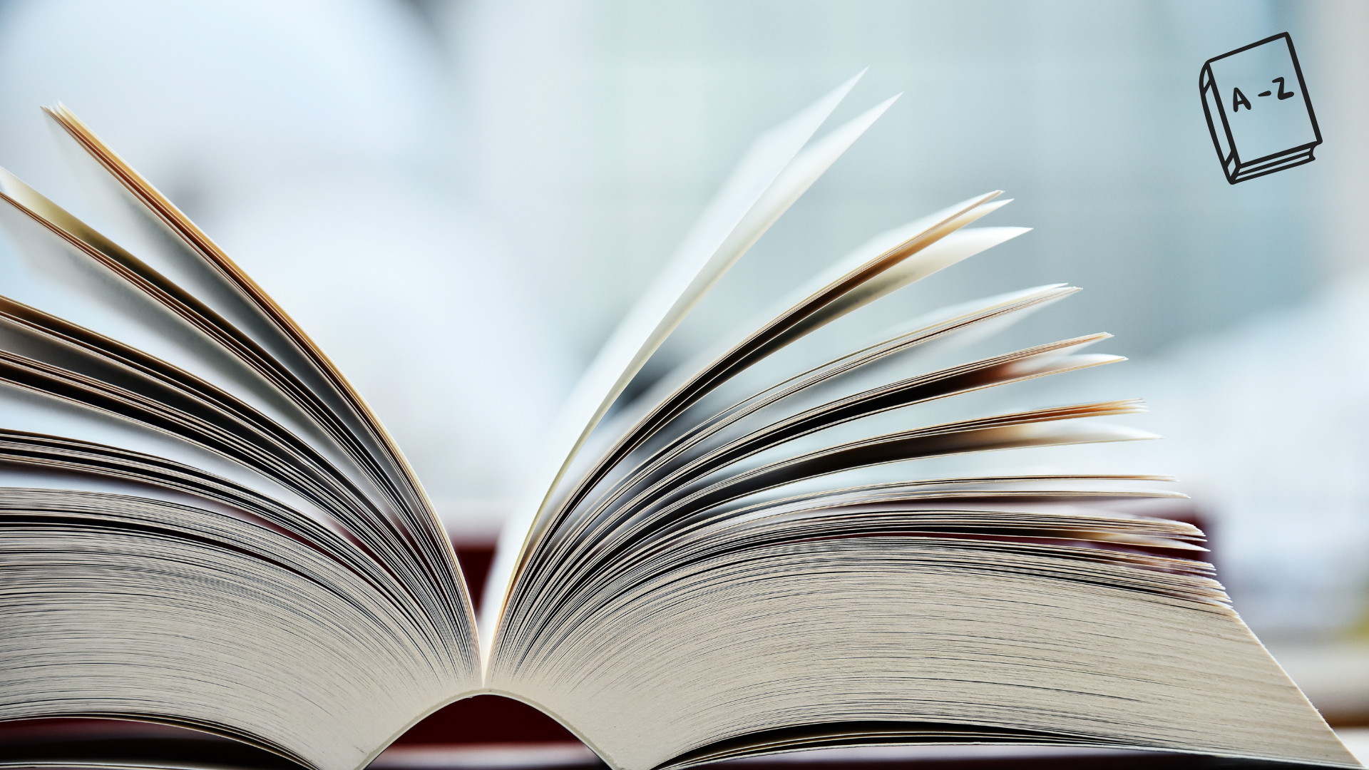 Top 10 new words in the Petit Robert